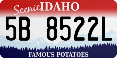 ID license plate 5B8522L