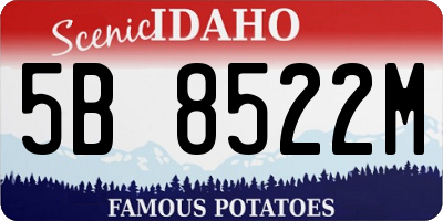 ID license plate 5B8522M