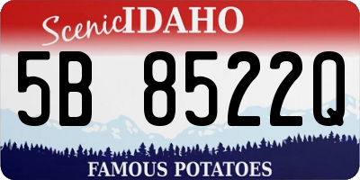 ID license plate 5B8522Q