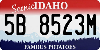 ID license plate 5B8523M