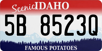 ID license plate 5B8523Q