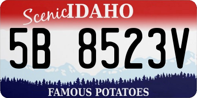 ID license plate 5B8523V