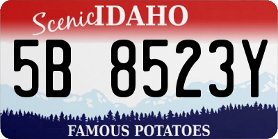 ID license plate 5B8523Y