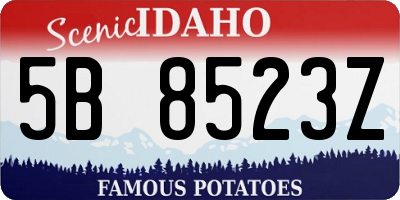 ID license plate 5B8523Z