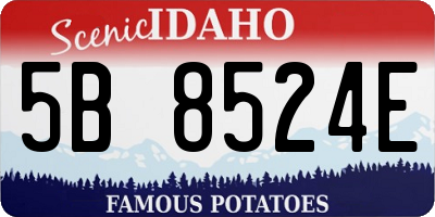 ID license plate 5B8524E