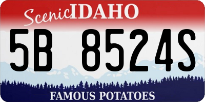 ID license plate 5B8524S