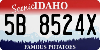 ID license plate 5B8524X