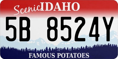 ID license plate 5B8524Y