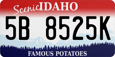 ID license plate 5B8525K