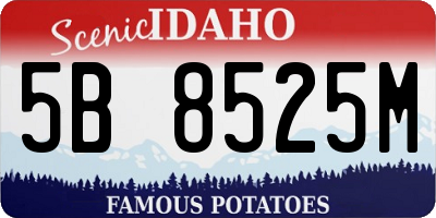 ID license plate 5B8525M