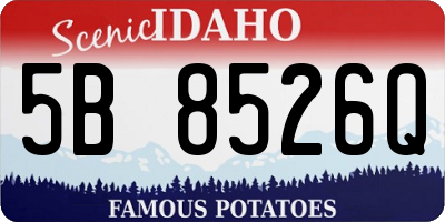 ID license plate 5B8526Q