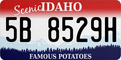 ID license plate 5B8529H