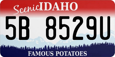 ID license plate 5B8529U