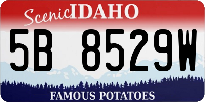 ID license plate 5B8529W