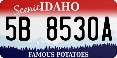 ID license plate 5B8530A