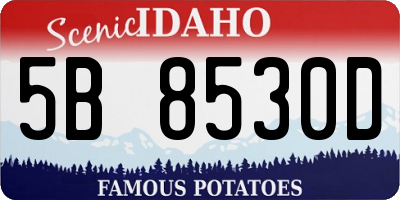 ID license plate 5B8530D