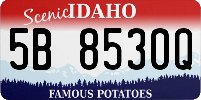 ID license plate 5B8530Q