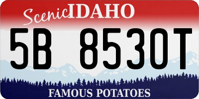 ID license plate 5B8530T