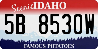 ID license plate 5B8530W