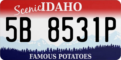ID license plate 5B8531P