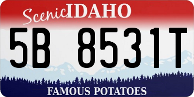 ID license plate 5B8531T