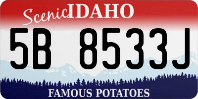 ID license plate 5B8533J