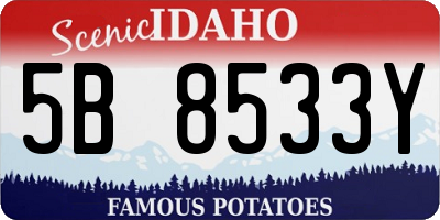 ID license plate 5B8533Y
