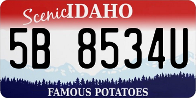 ID license plate 5B8534U
