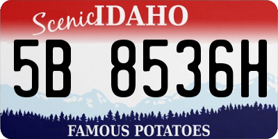 ID license plate 5B8536H
