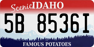 ID license plate 5B8536I