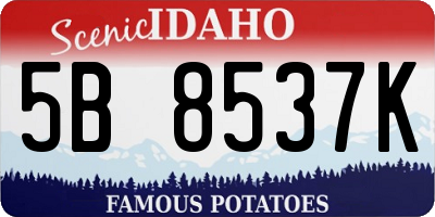 ID license plate 5B8537K