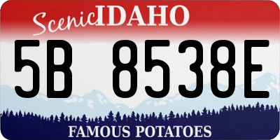 ID license plate 5B8538E