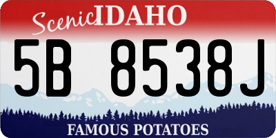 ID license plate 5B8538J