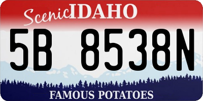 ID license plate 5B8538N