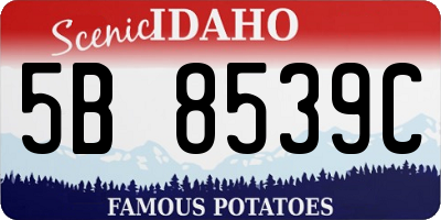 ID license plate 5B8539C