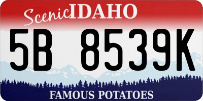 ID license plate 5B8539K