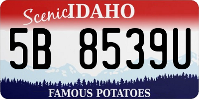 ID license plate 5B8539U