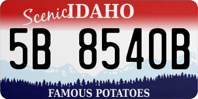 ID license plate 5B8540B