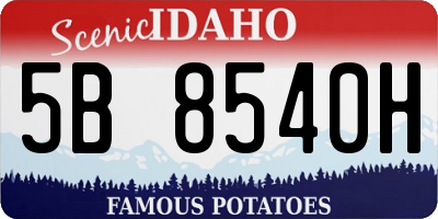ID license plate 5B8540H