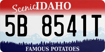 ID license plate 5B8541T
