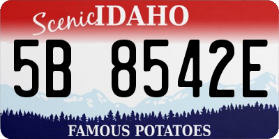 ID license plate 5B8542E