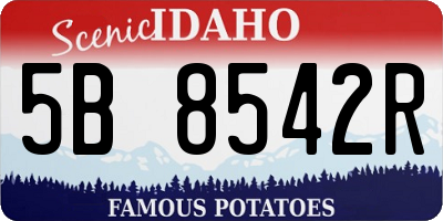 ID license plate 5B8542R