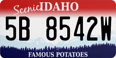 ID license plate 5B8542W