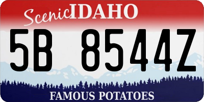 ID license plate 5B8544Z