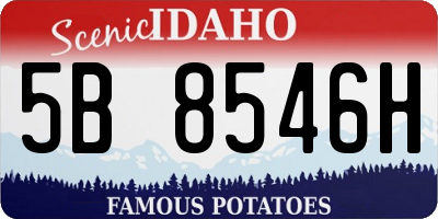 ID license plate 5B8546H