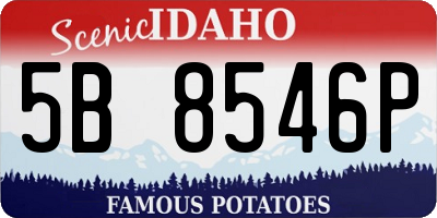 ID license plate 5B8546P