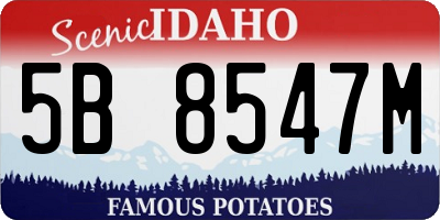 ID license plate 5B8547M