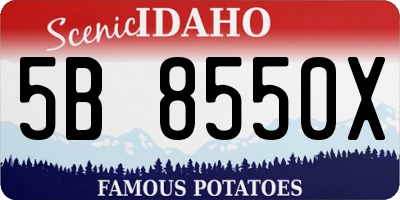 ID license plate 5B8550X