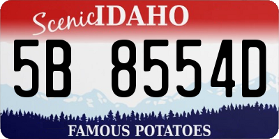 ID license plate 5B8554D