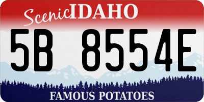 ID license plate 5B8554E